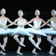Image for article titled Dangerous Beauty: Are Tutus Too Much?